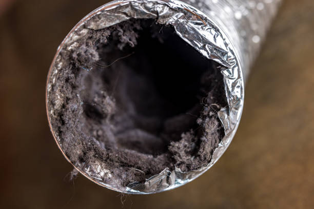 Best Ventilation Cleaning Services  in Bremen, IN